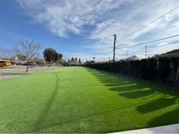 Champion 70 Regular — olive and lime commercial turf