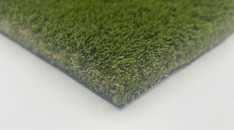 Bantam Blend landscape turf close-up