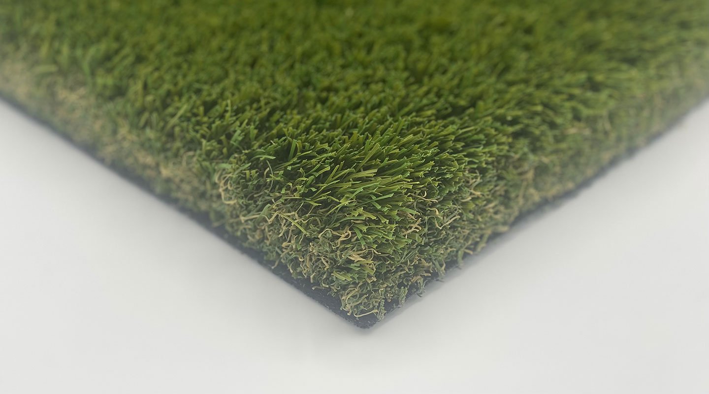 Bantam turf — budget-conscious entry-tier landscape lawn