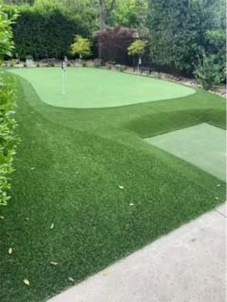 Poa Annua Putt — putting green install